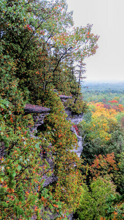 Cup and Saucer Trail  T1