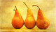 Three Pears  AP17