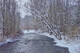 Winter in Harrison Park  BW13