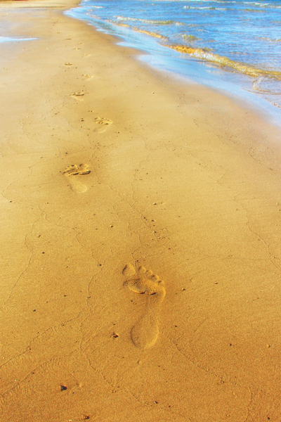 Nothing But Footprints  BS15
