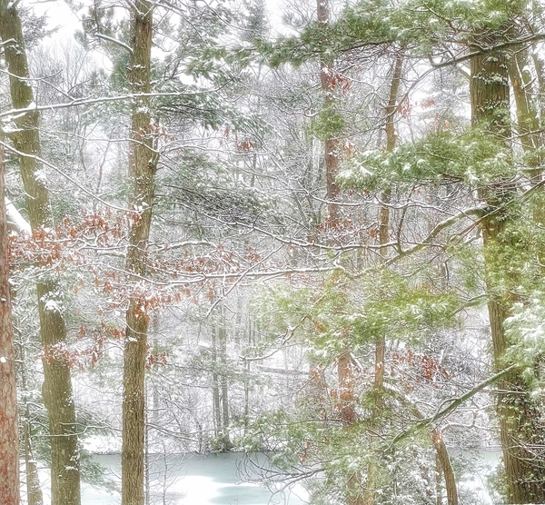 Painted White